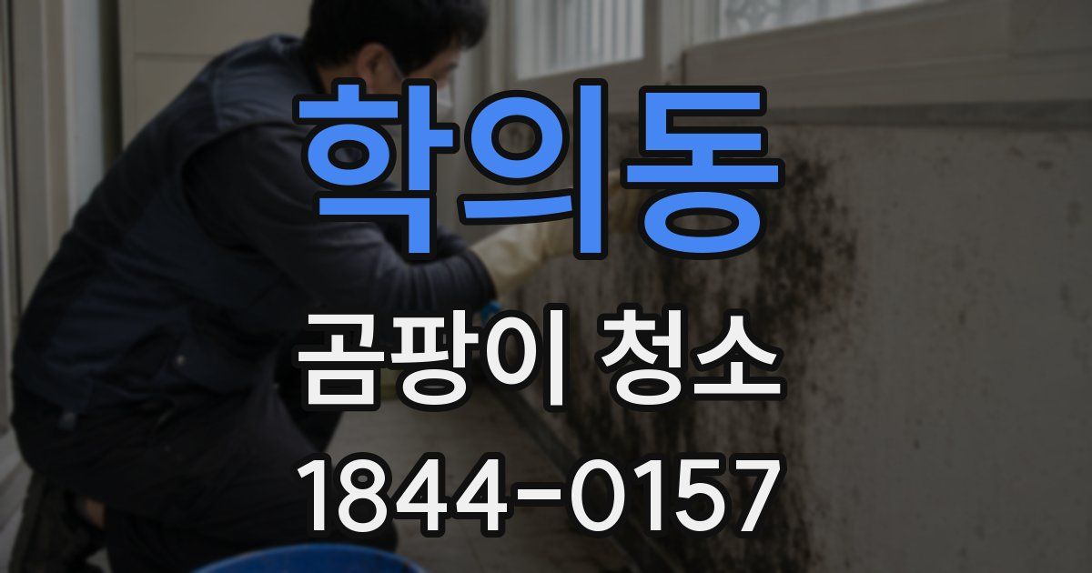 학의동 곰팡이 청소