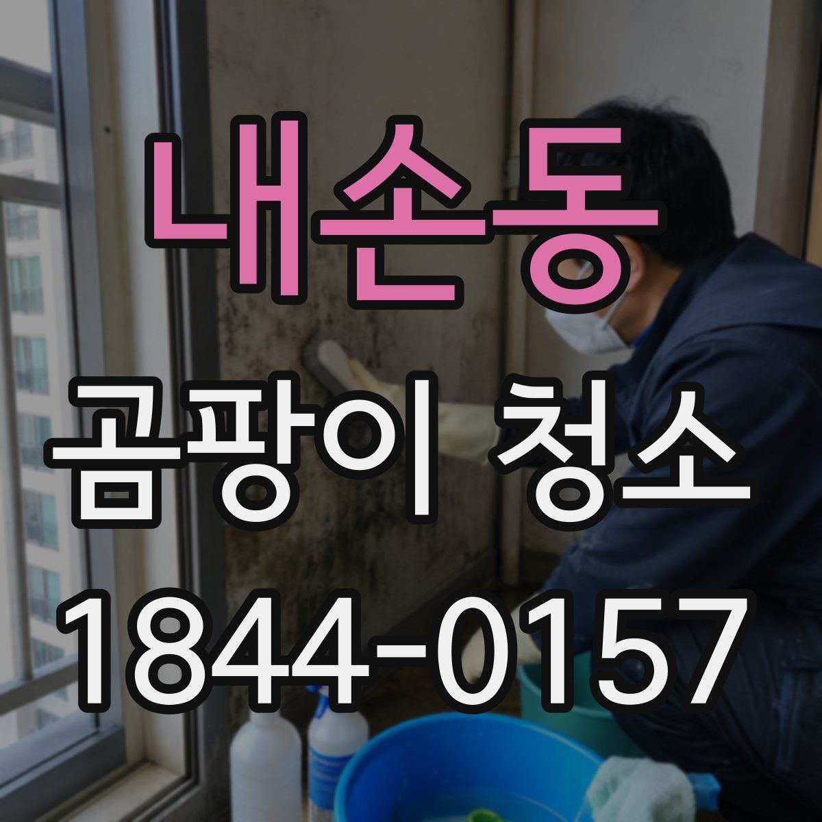 내손동 곰팡이 청소