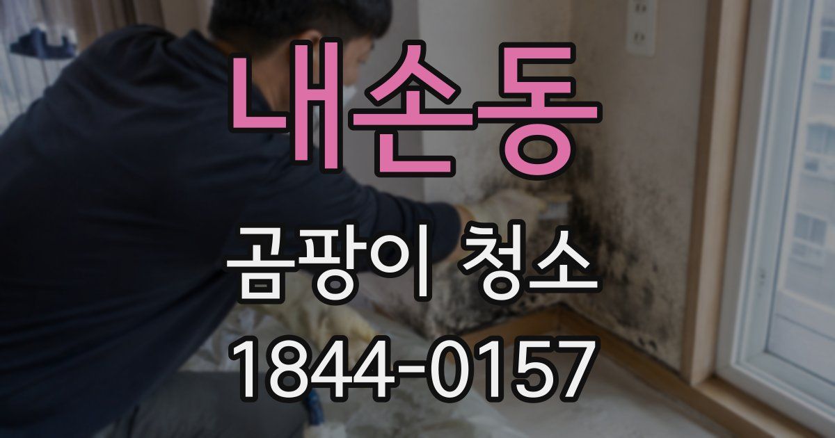내손동 곰팡이 청소