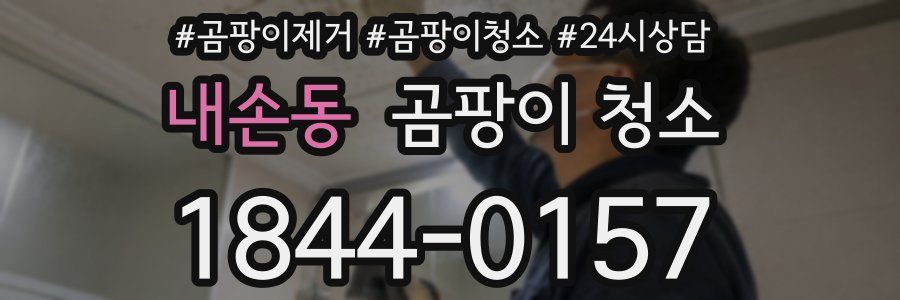 내손동 곰팡이 청소