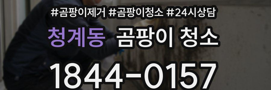 청계동 곰팡이 청소