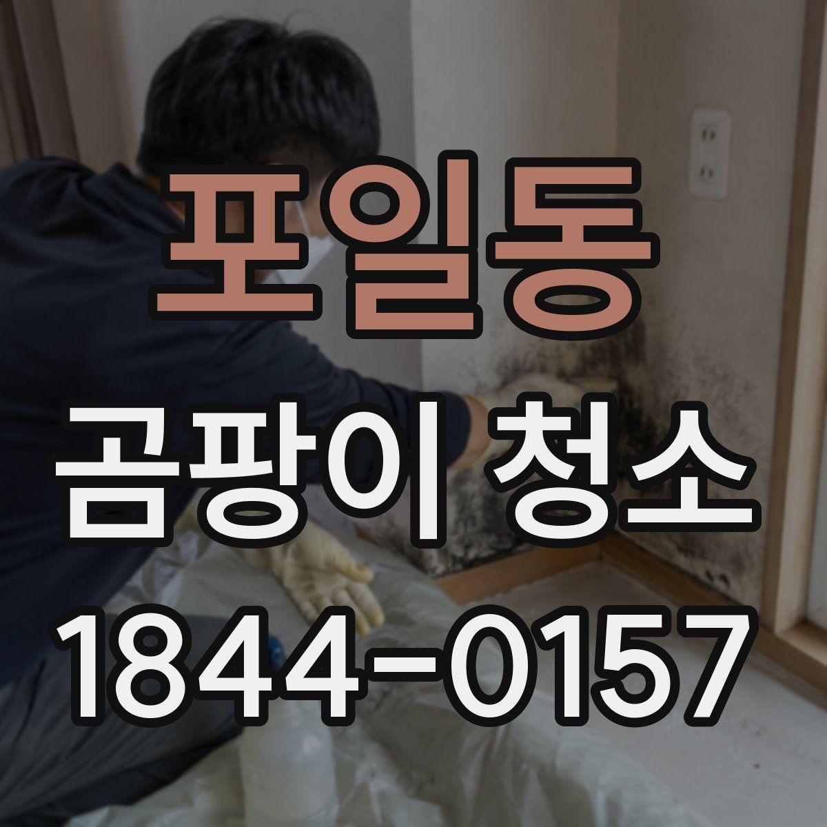 포일동 곰팡이 청소