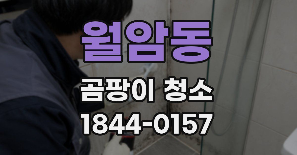 월암동 곰팡이 청소