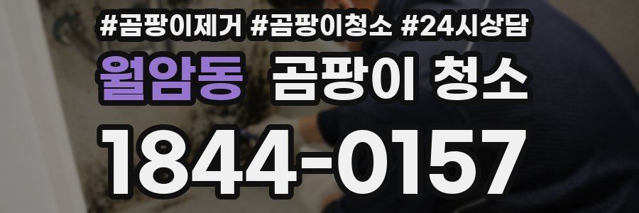 월암동 곰팡이 청소