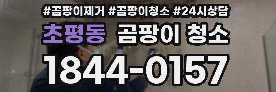 초평동 곰팡이 청소