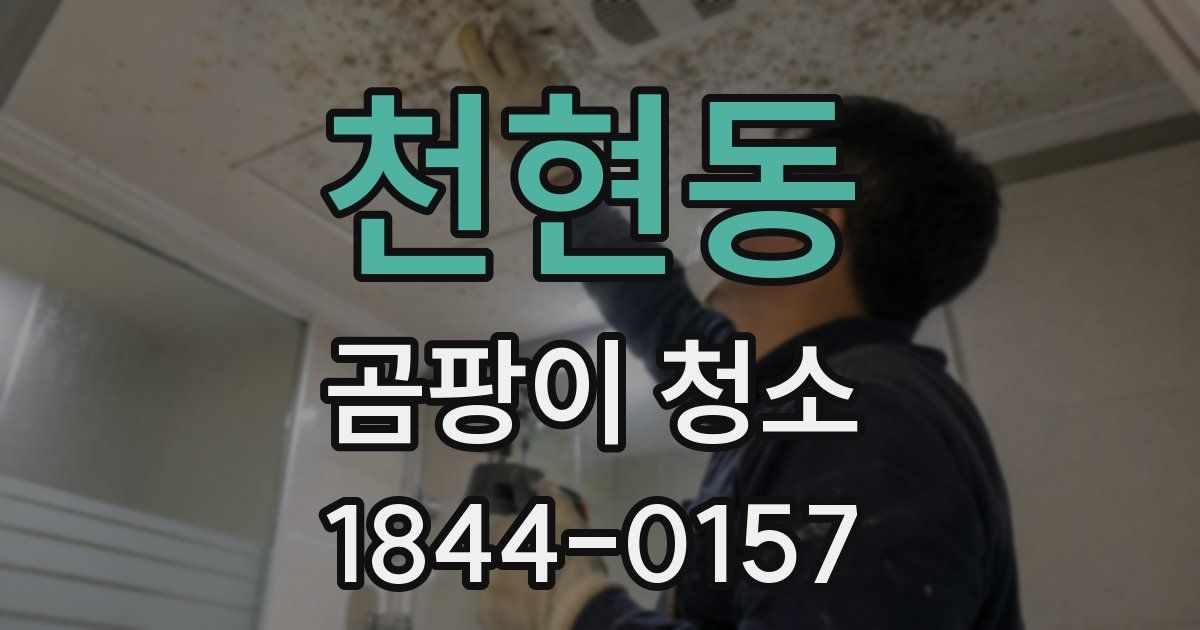 천현동 곰팡이 청소