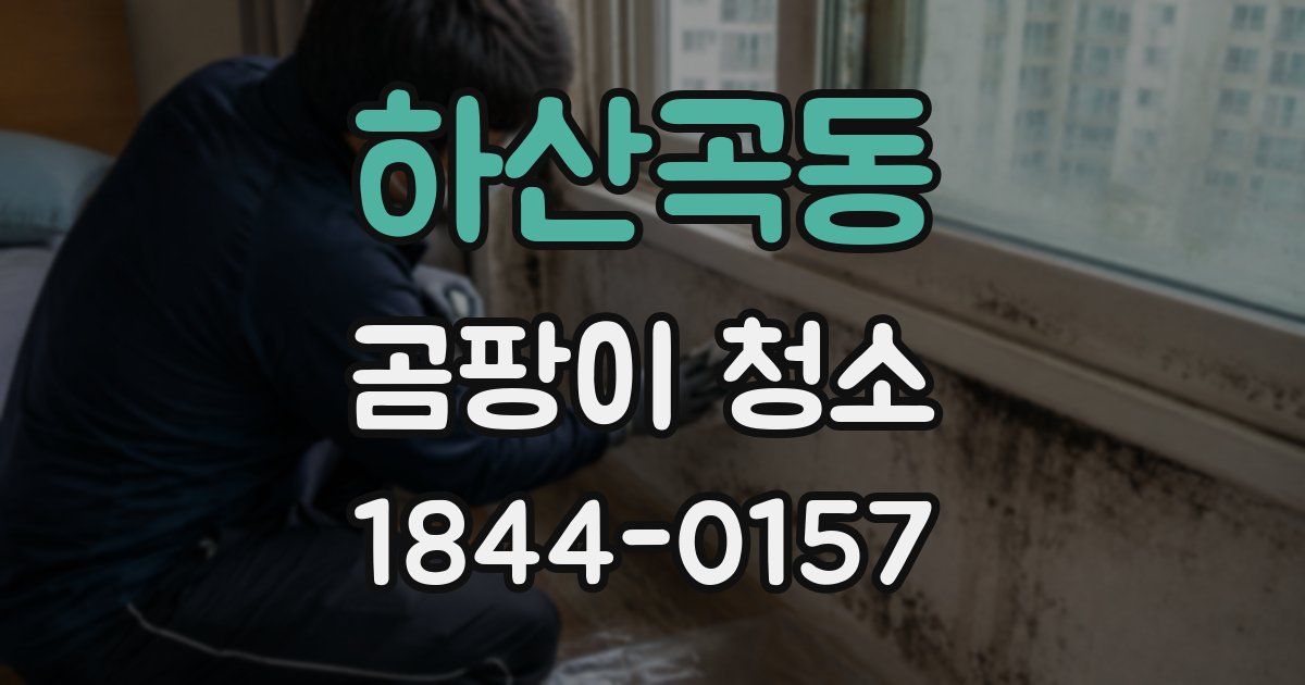 하산곡동 곰팡이 청소