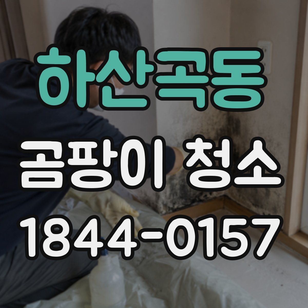 하산곡동 곰팡이 청소