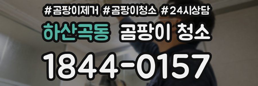 하산곡동 곰팡이 청소