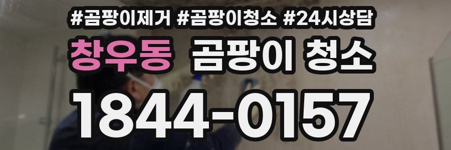 창우동 곰팡이 청소