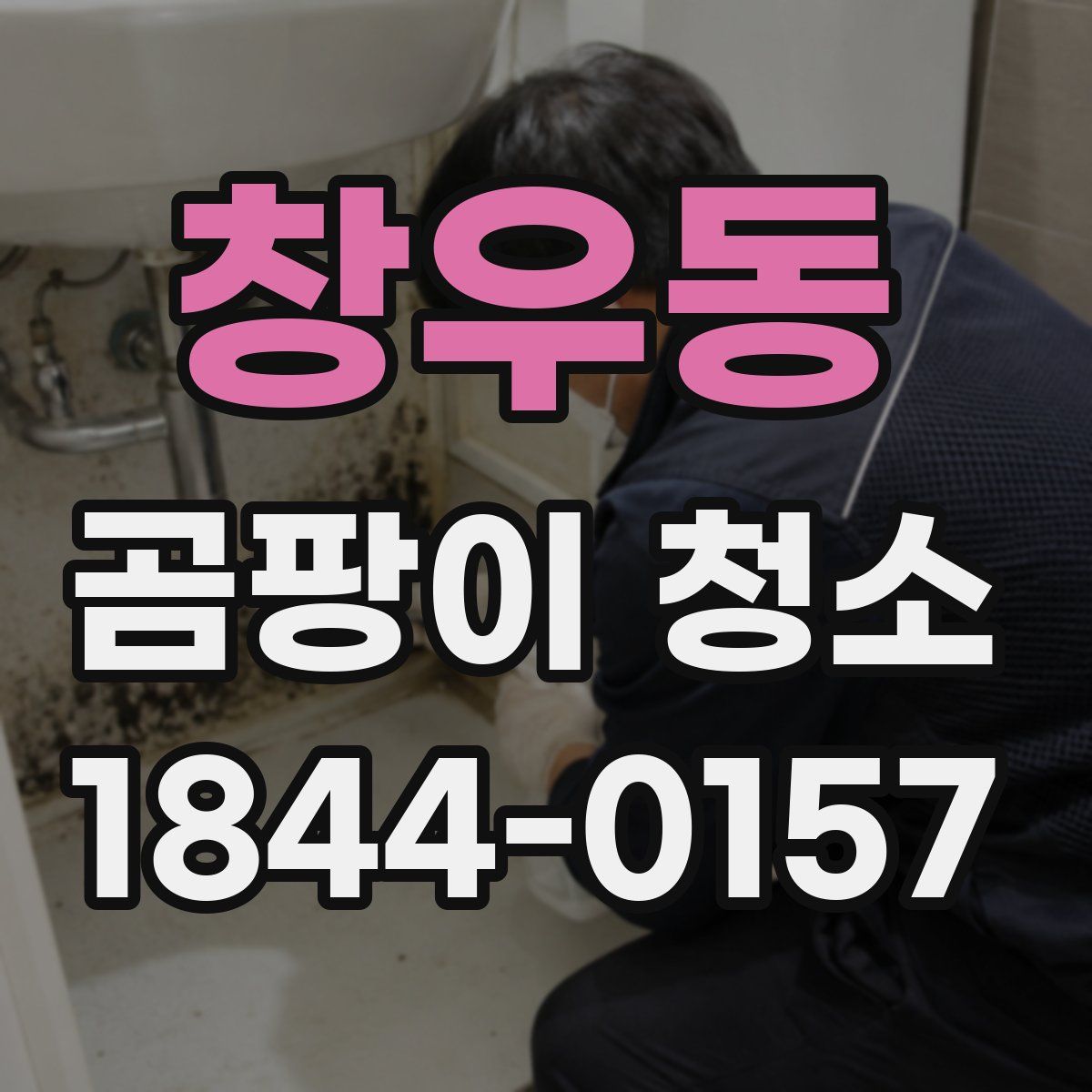 창우동 곰팡이 청소