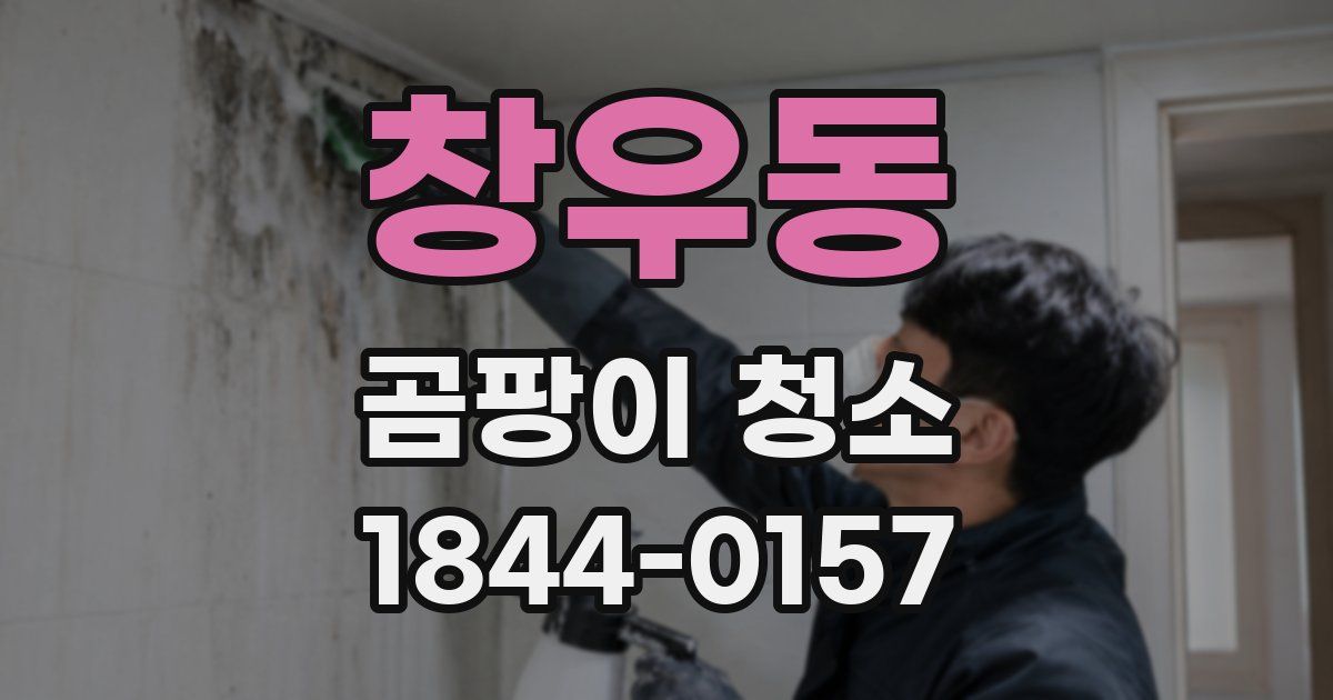 창우동 곰팡이 청소
