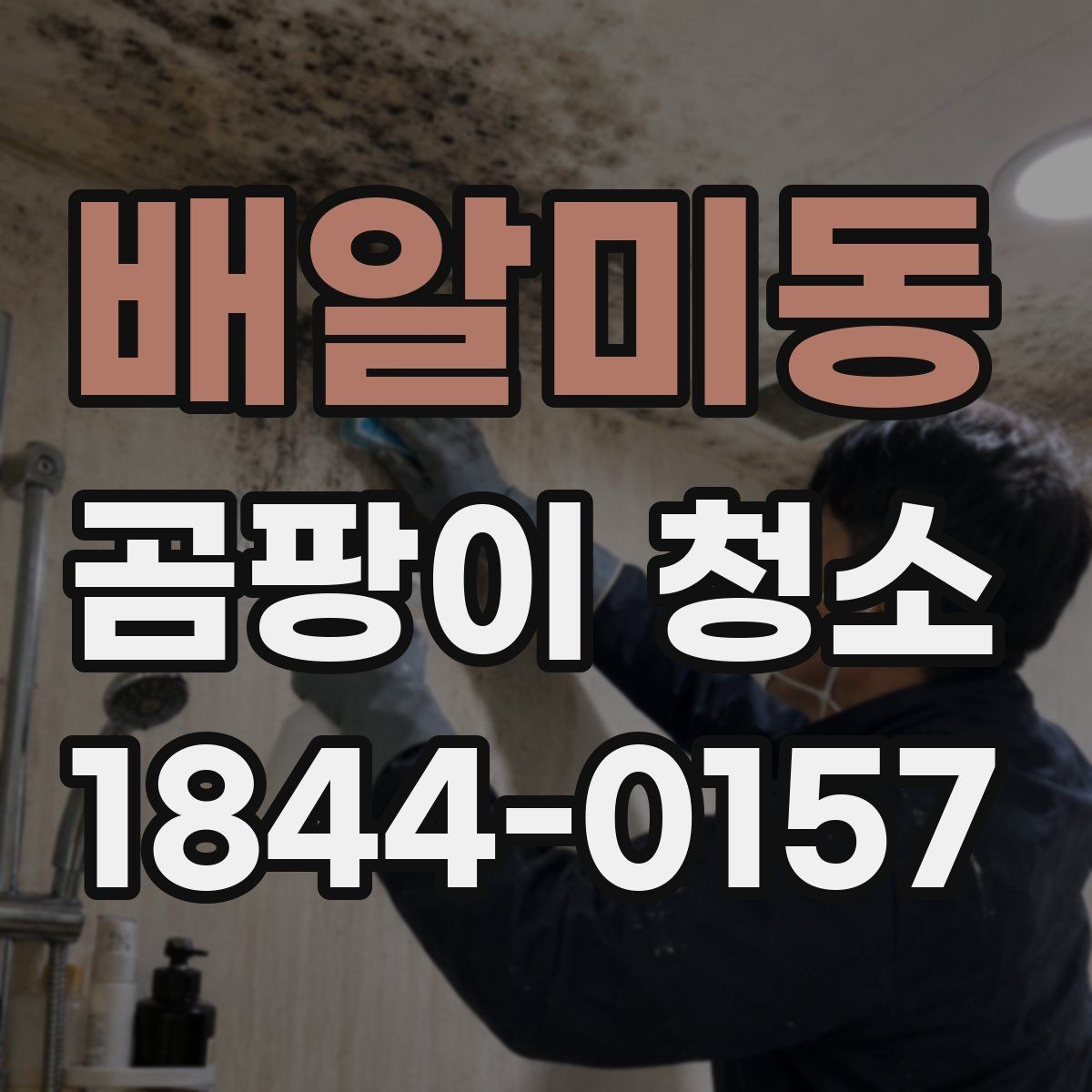 배알미동 곰팡이 청소 후 냄새가 남는 원인과 마무리 방법