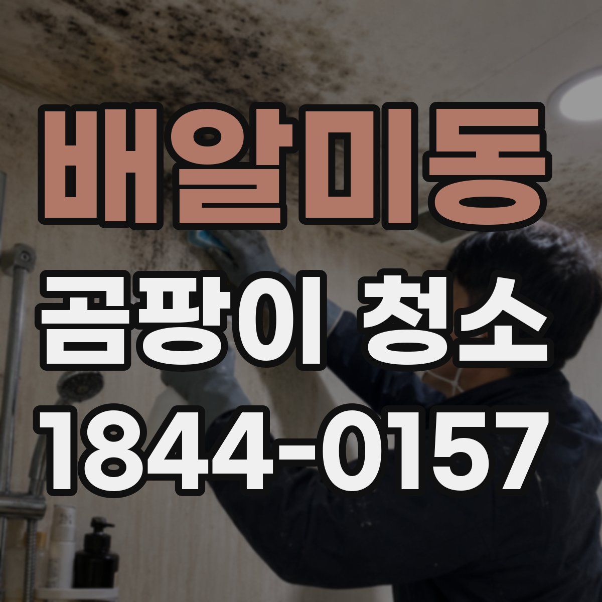 배알미동 곰팡이 청소