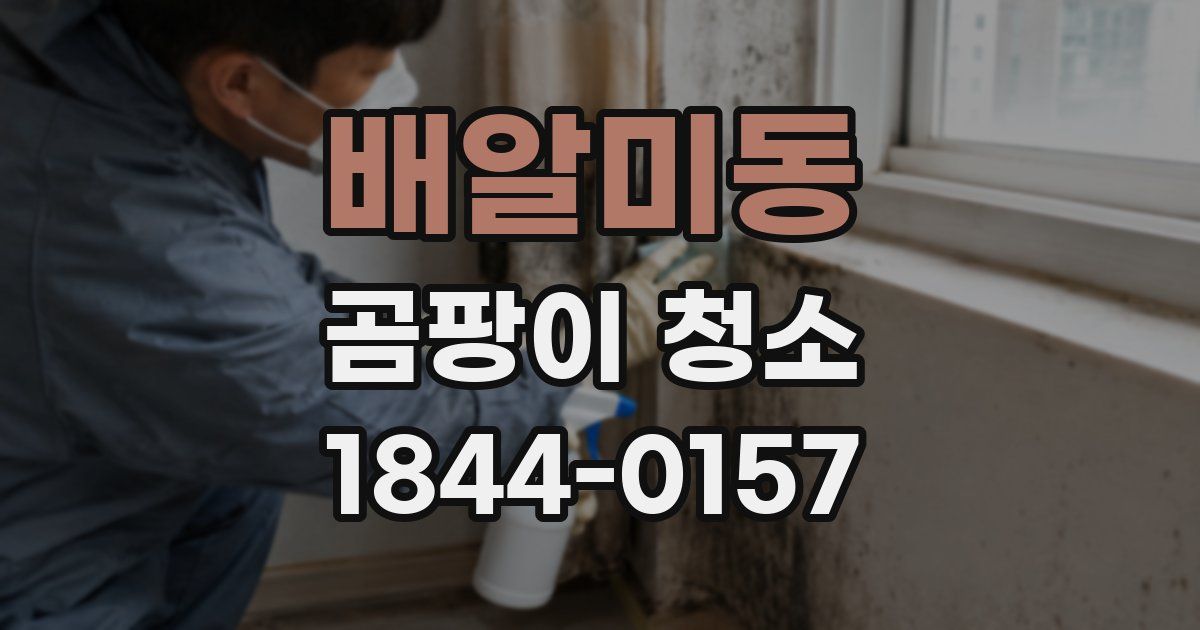 배알미동 곰팡이 청소