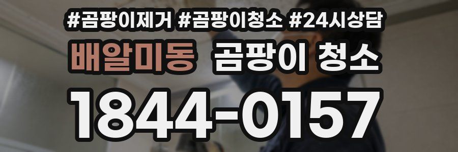 배알미동 곰팡이 청소
