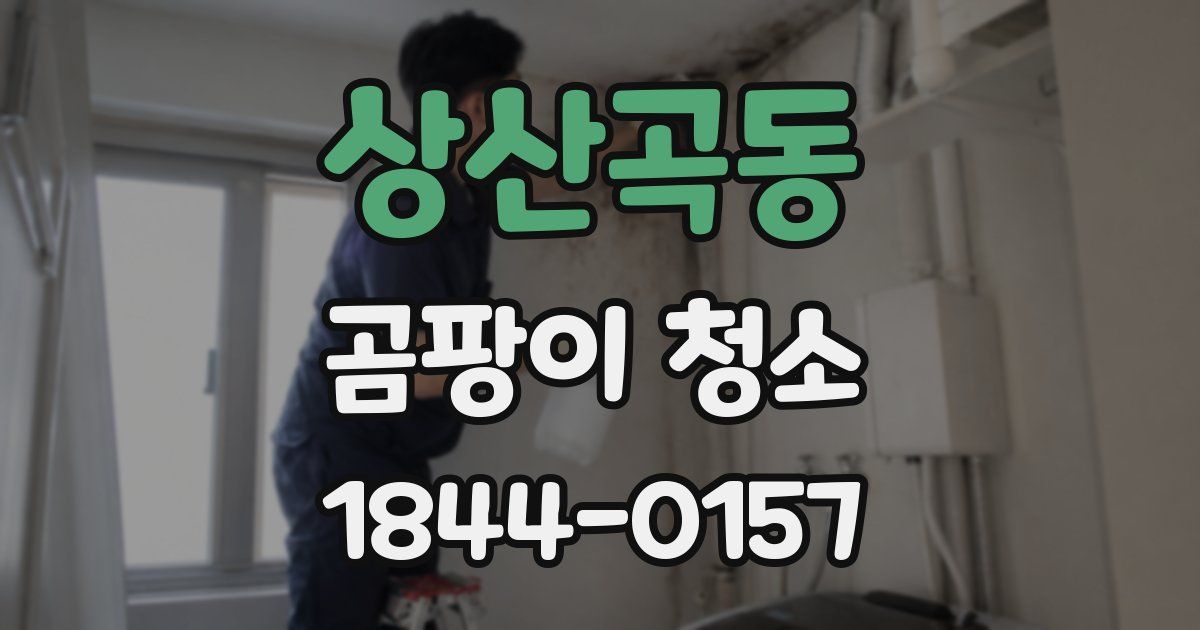 상산곡동 곰팡이 청소