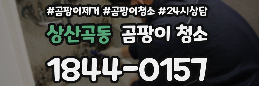 상산곡동 곰팡이 청소