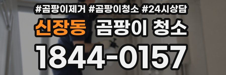 신장동 곰팡이 청소