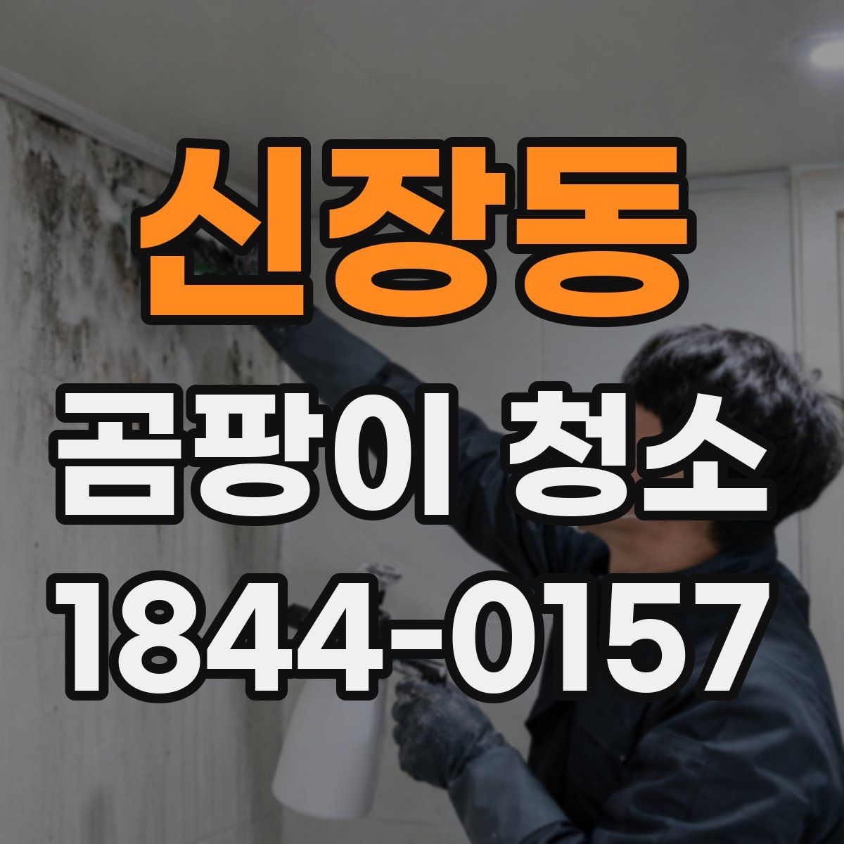 신장동 곰팡이 청소