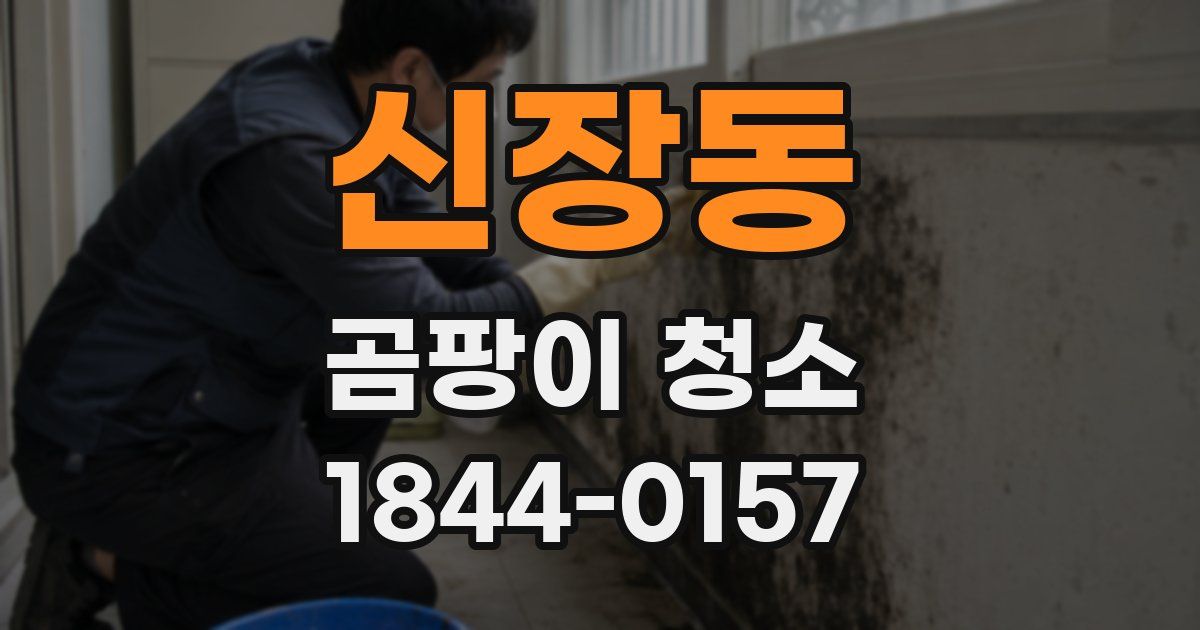 신장동 곰팡이 청소