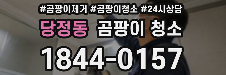 당정동 곰팡이 청소