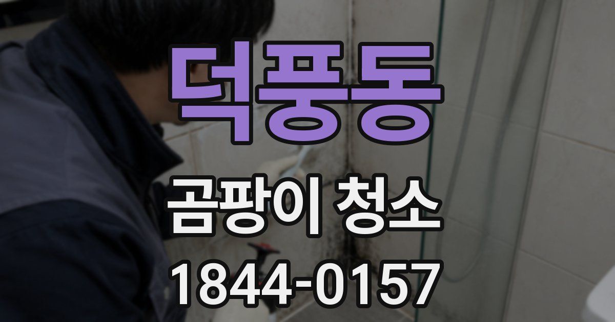 덕풍동 곰팡이 청소