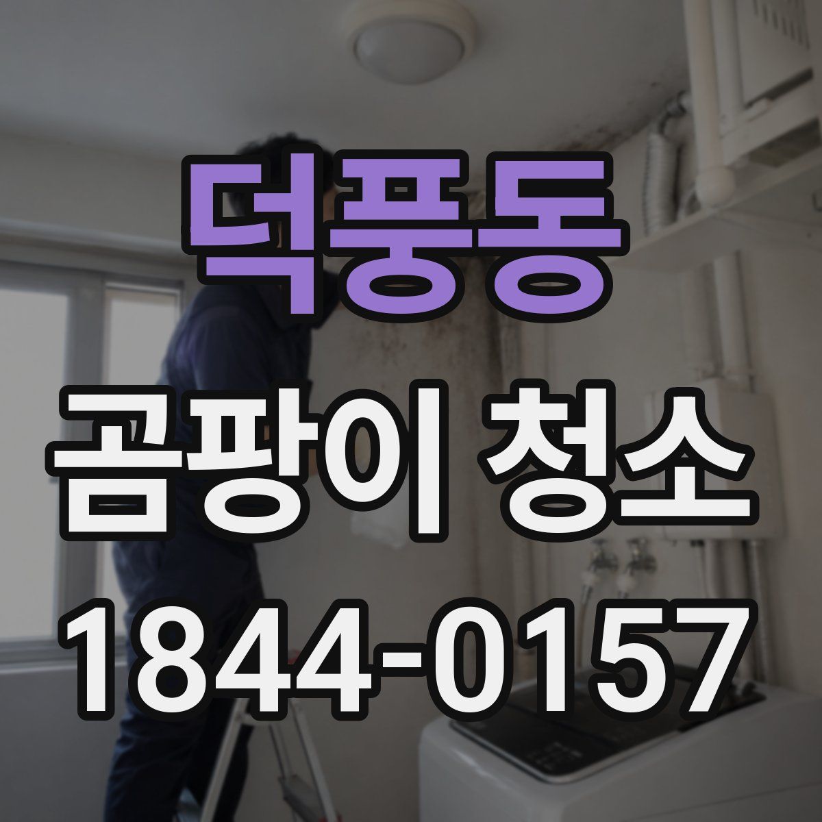 덕풍동 곰팡이 청소