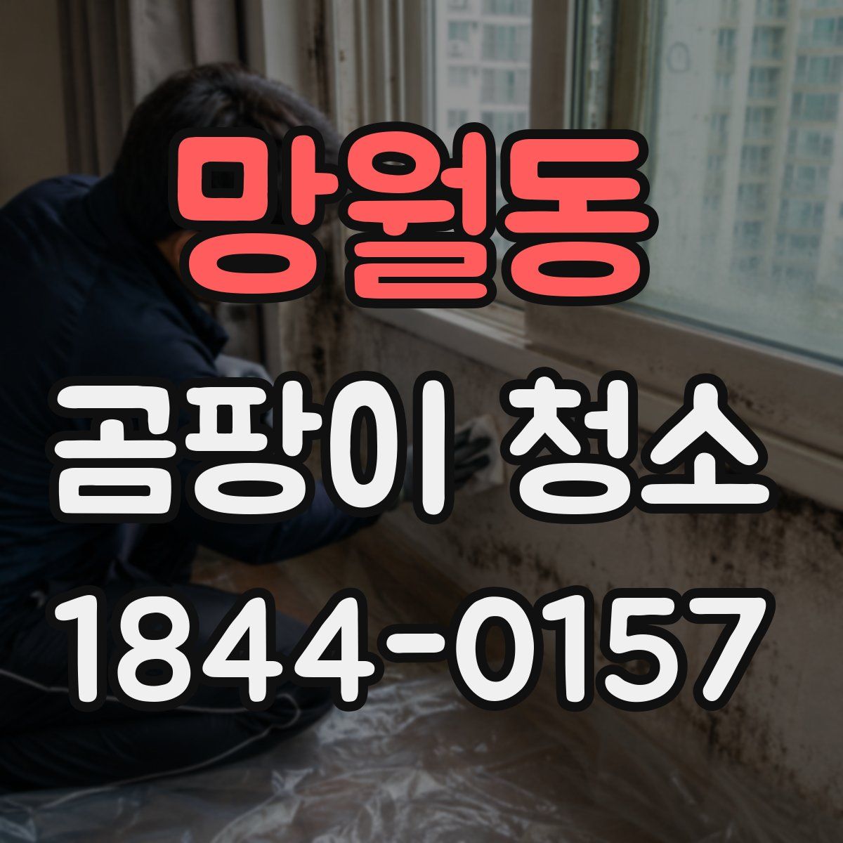 망월동 곰팡이 청소