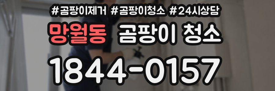 망월동 곰팡이 청소