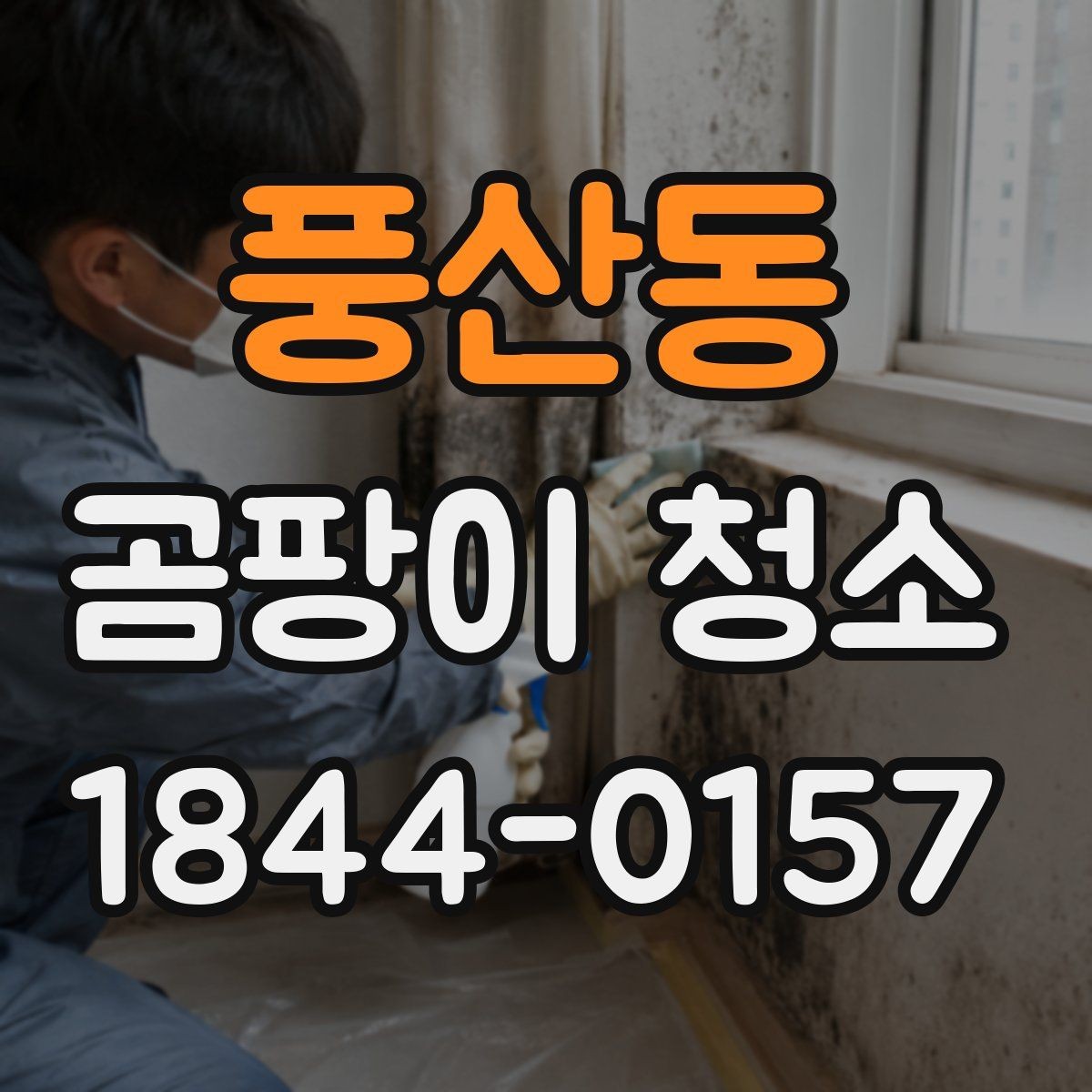풍산동 곰팡이 청소 결로가 잦은 벽면을 점검하는 순서