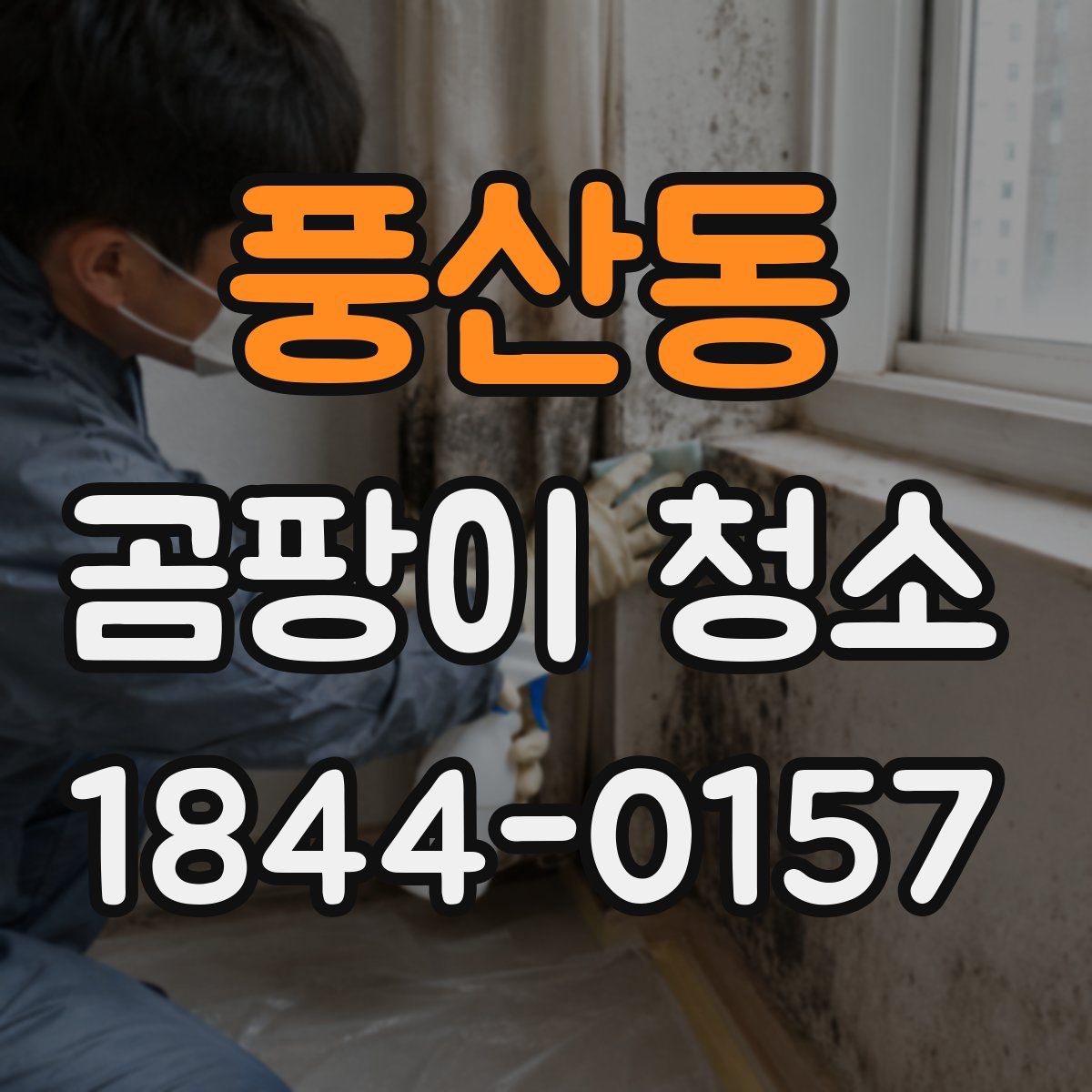 풍산동 곰팡이 청소