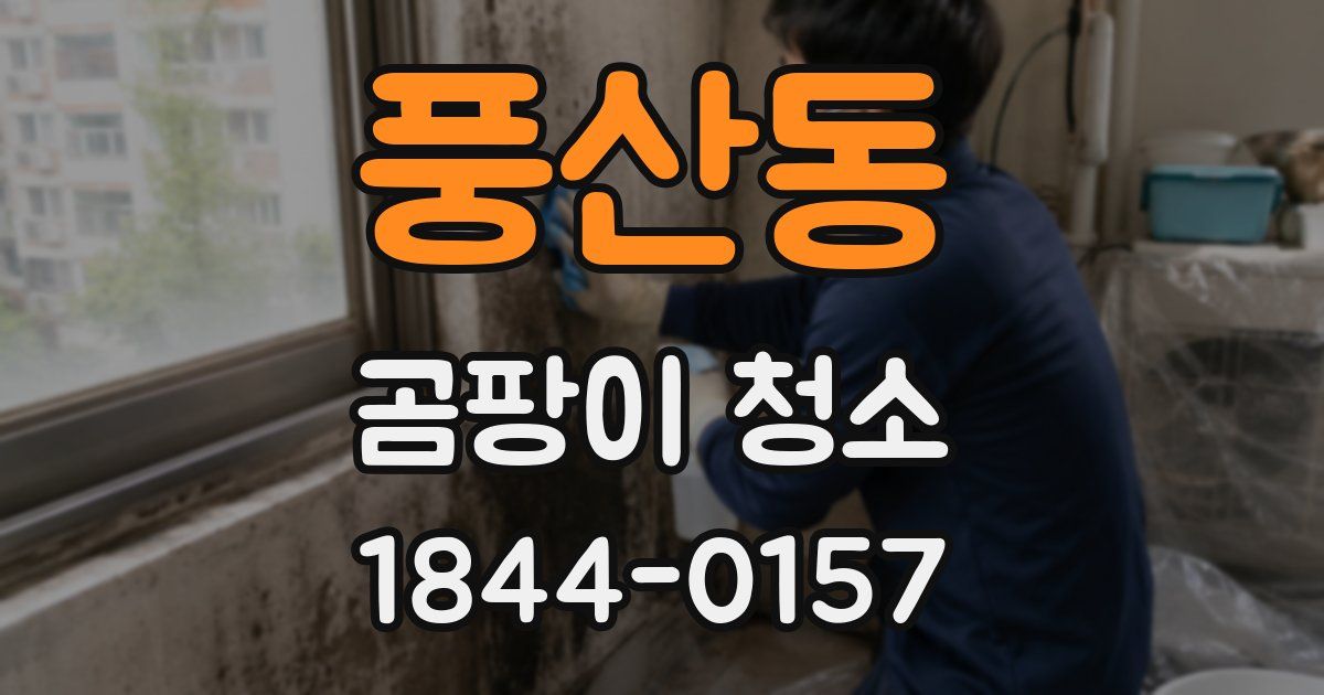 풍산동 곰팡이 청소