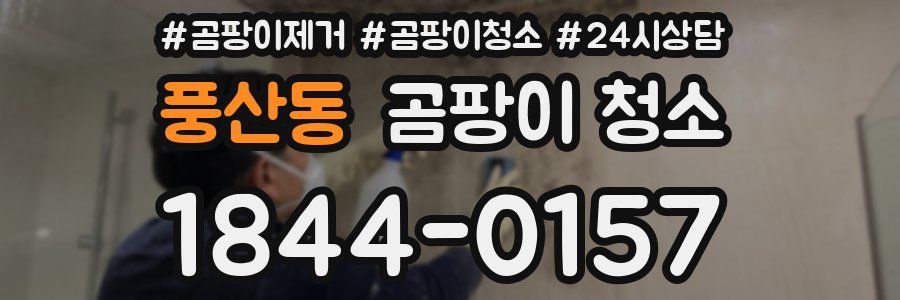 풍산동 곰팡이 청소