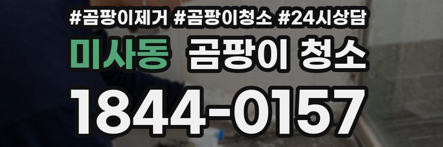 미사동 곰팡이 청소