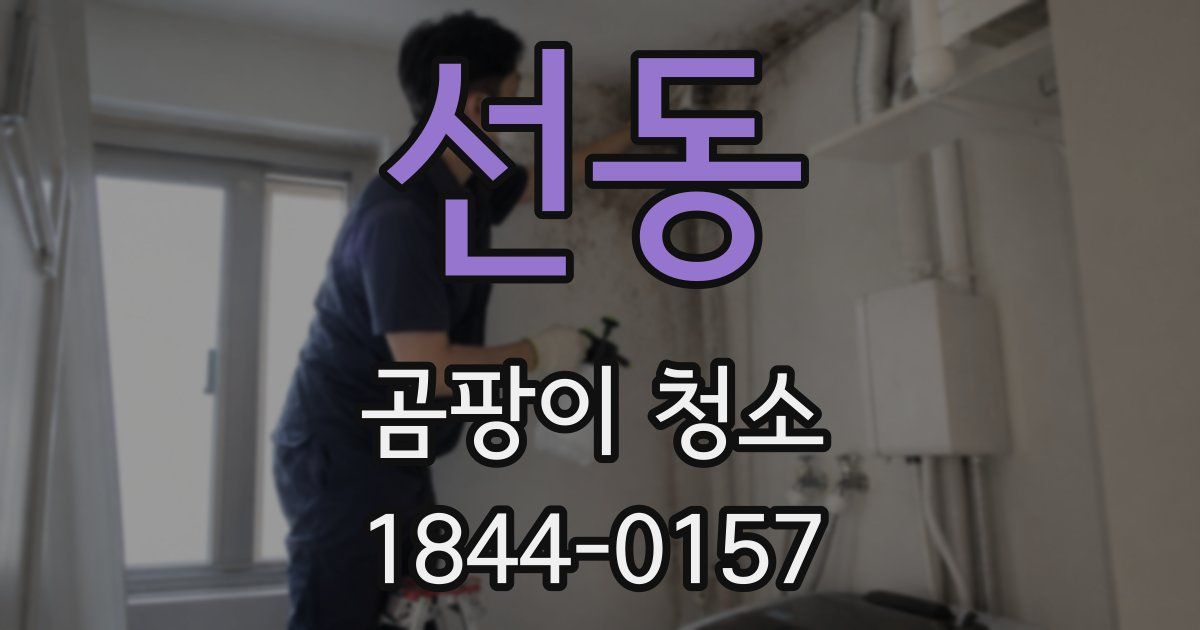선동 곰팡이 청소