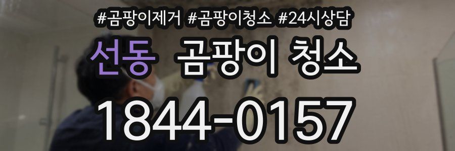 선동 곰팡이 청소