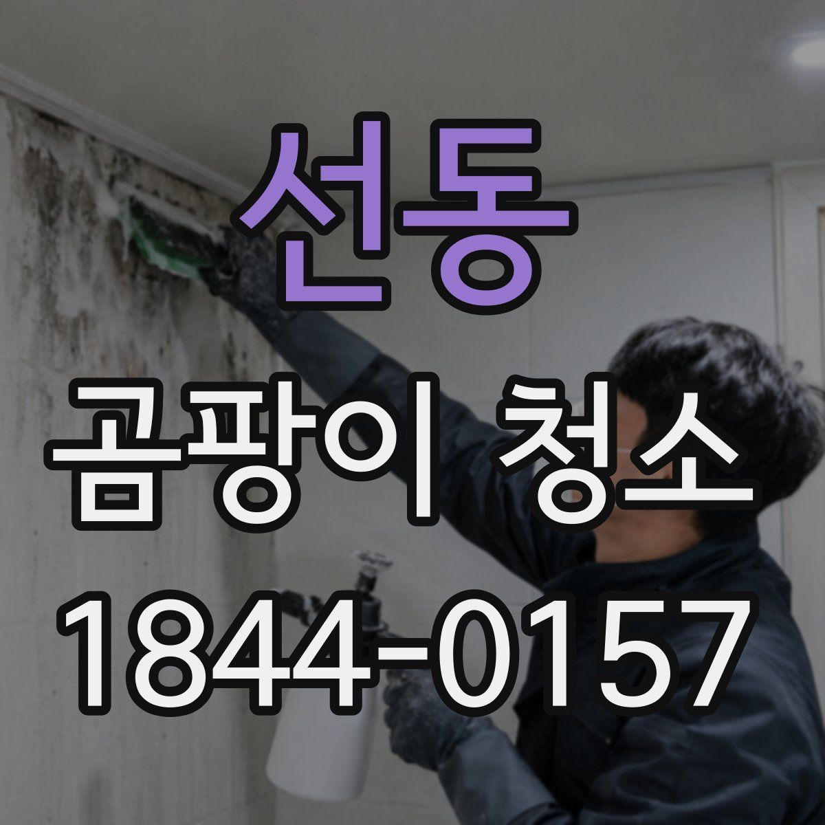 선동 곰팡이 청소
