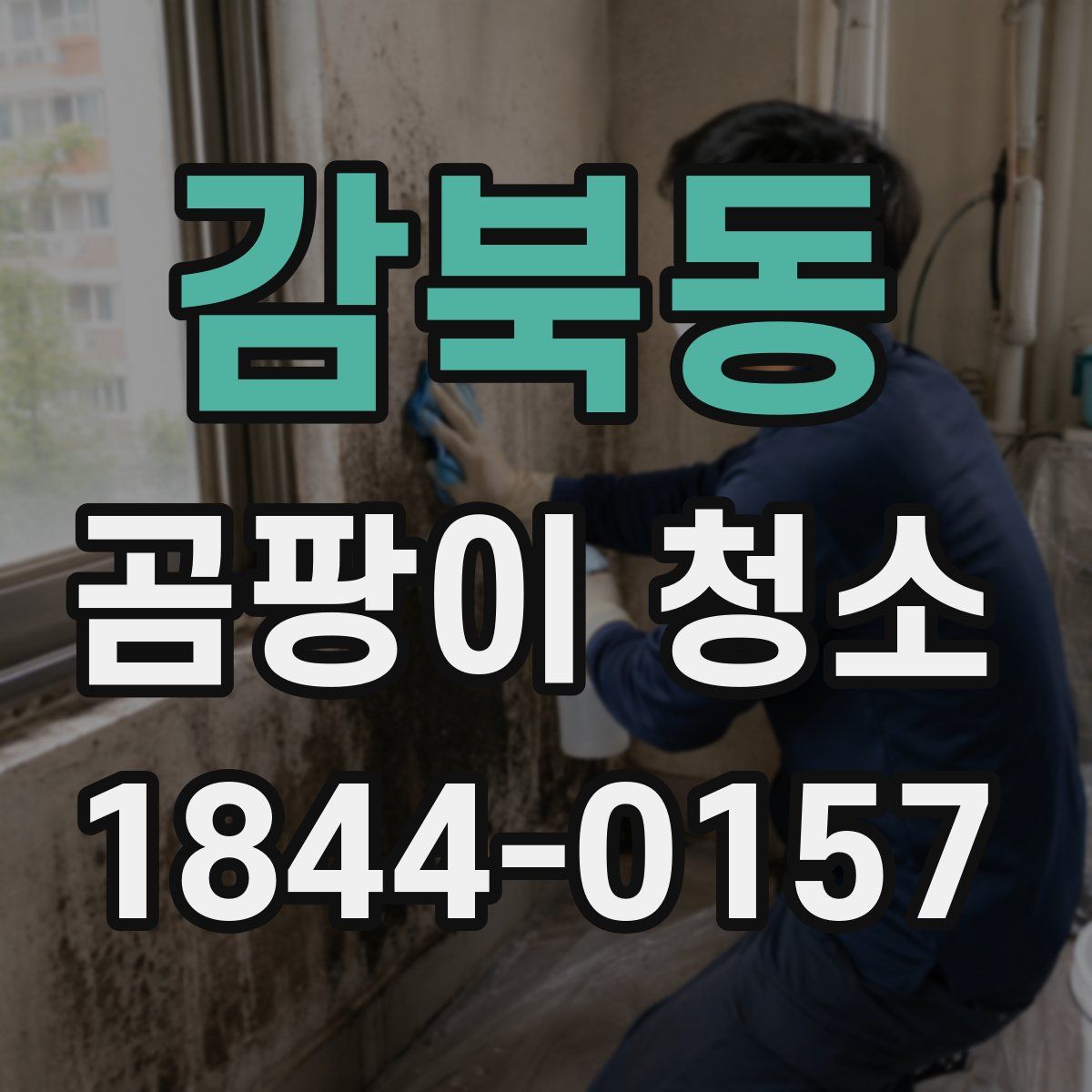감북동 곰팡이 청소