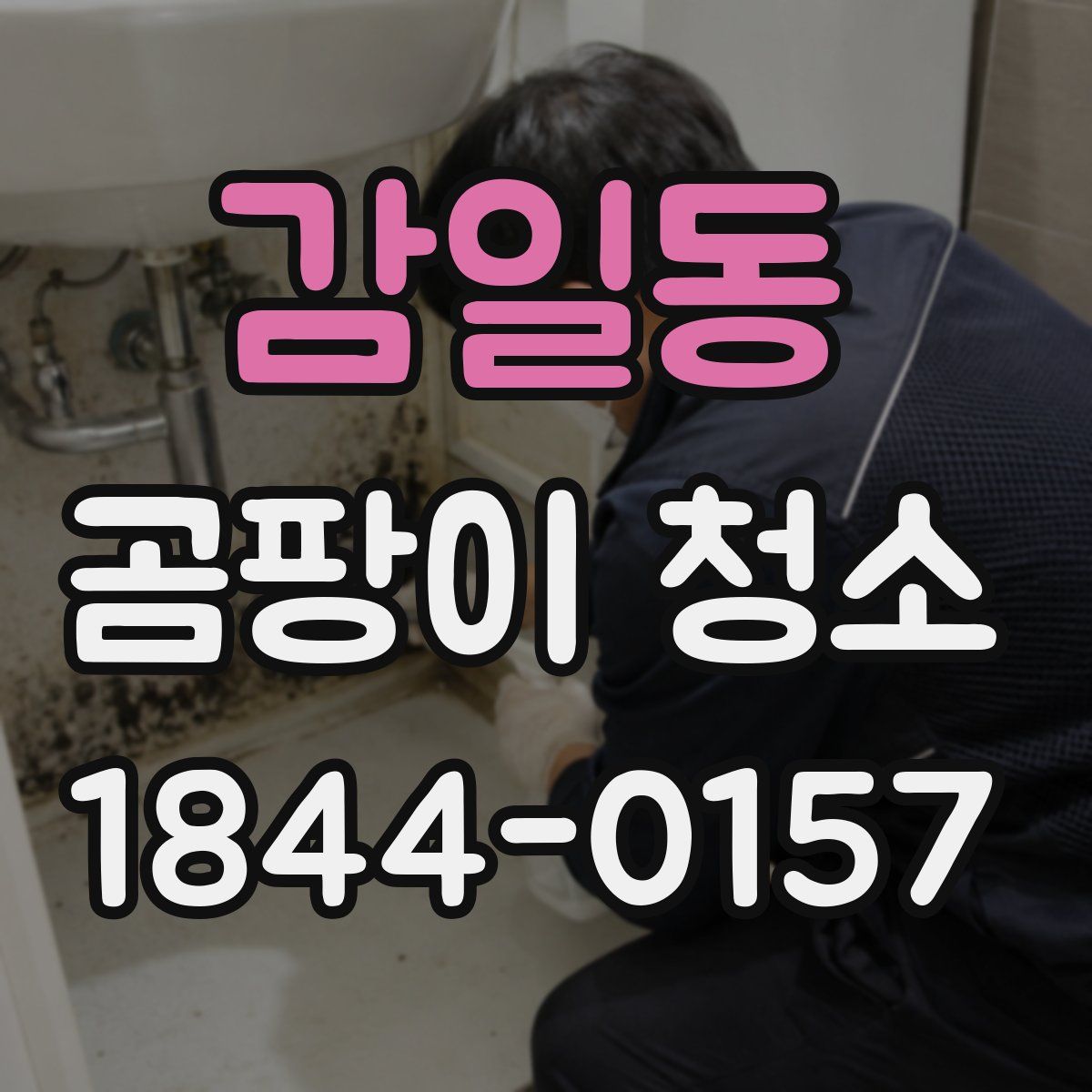 감일동 곰팡이 청소