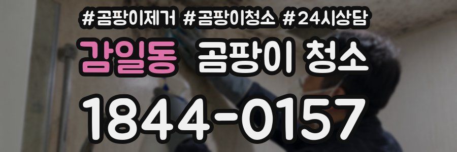 감일동 곰팡이 청소