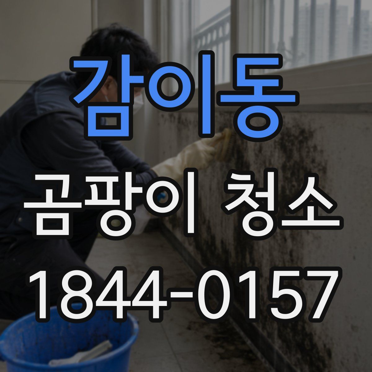 감이동 곰팡이 청소