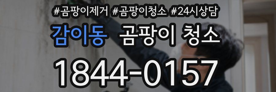 감이동 곰팡이 청소