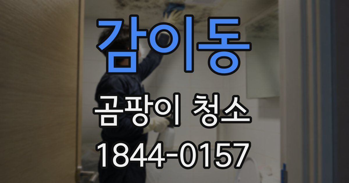 감이동 곰팡이 청소