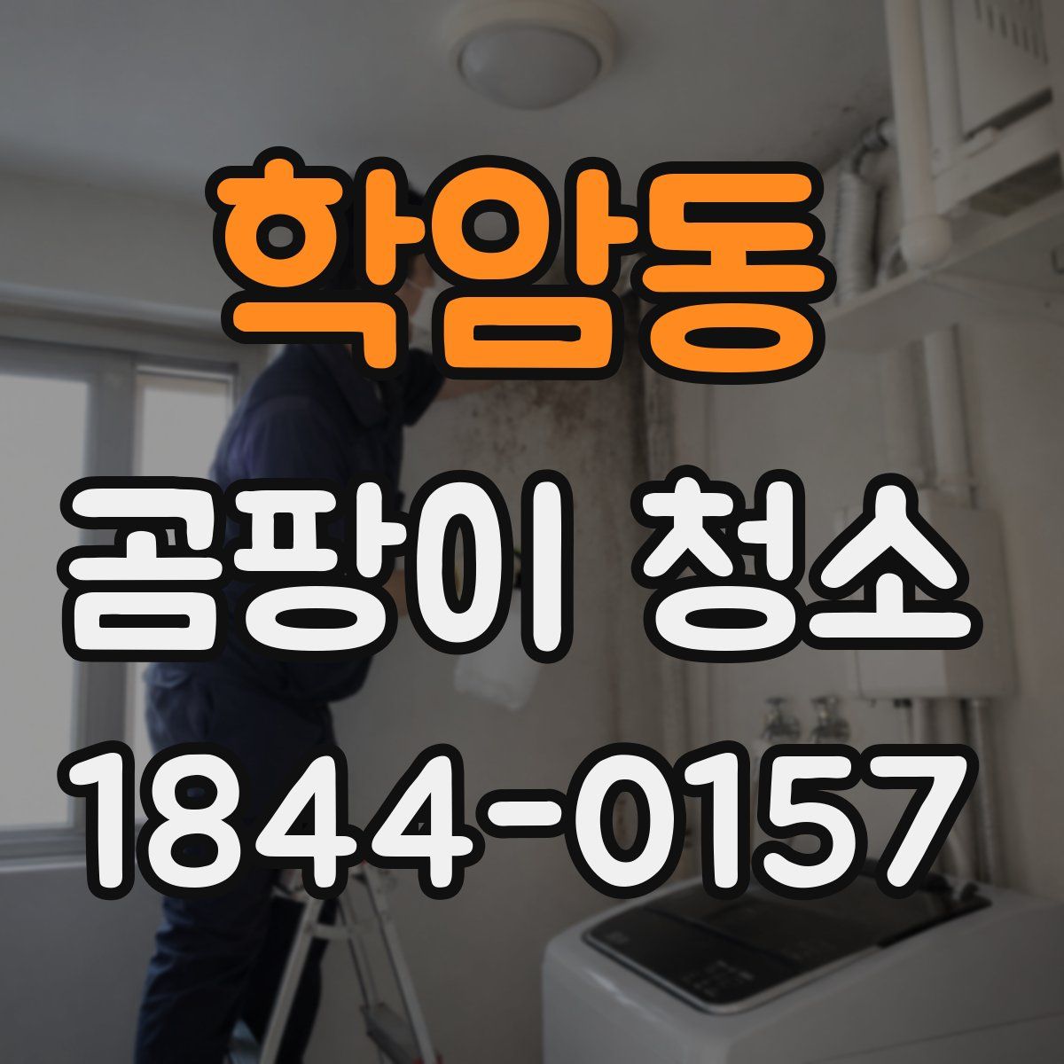 학암동 곰팡이 청소