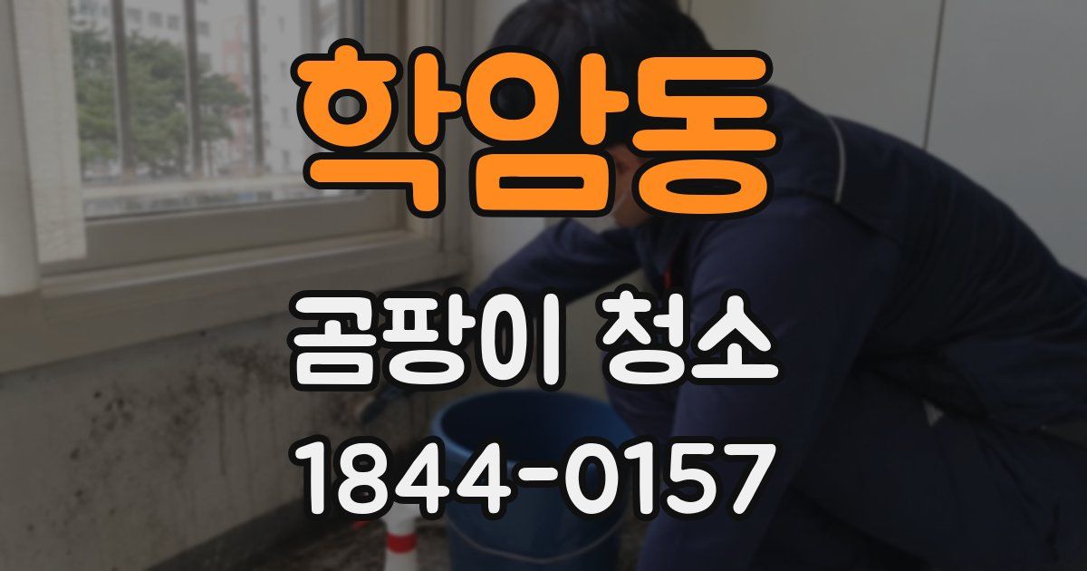 학암동 곰팡이 청소
