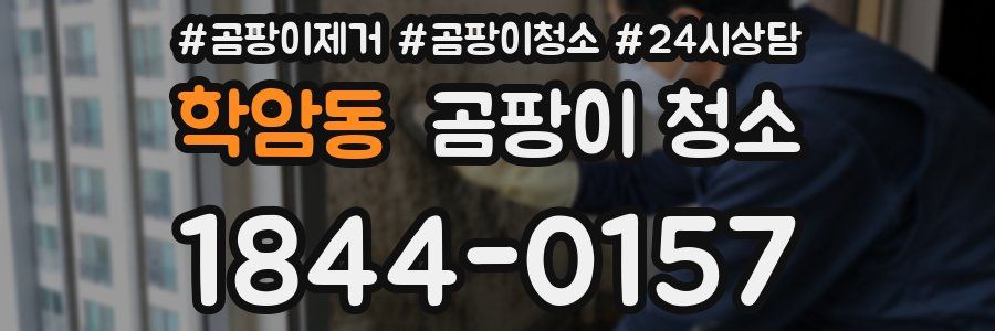 학암동 곰팡이 청소