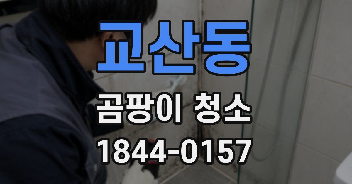 교산동 곰팡이 청소