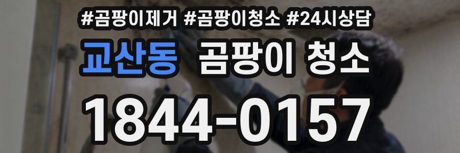 교산동 곰팡이 청소