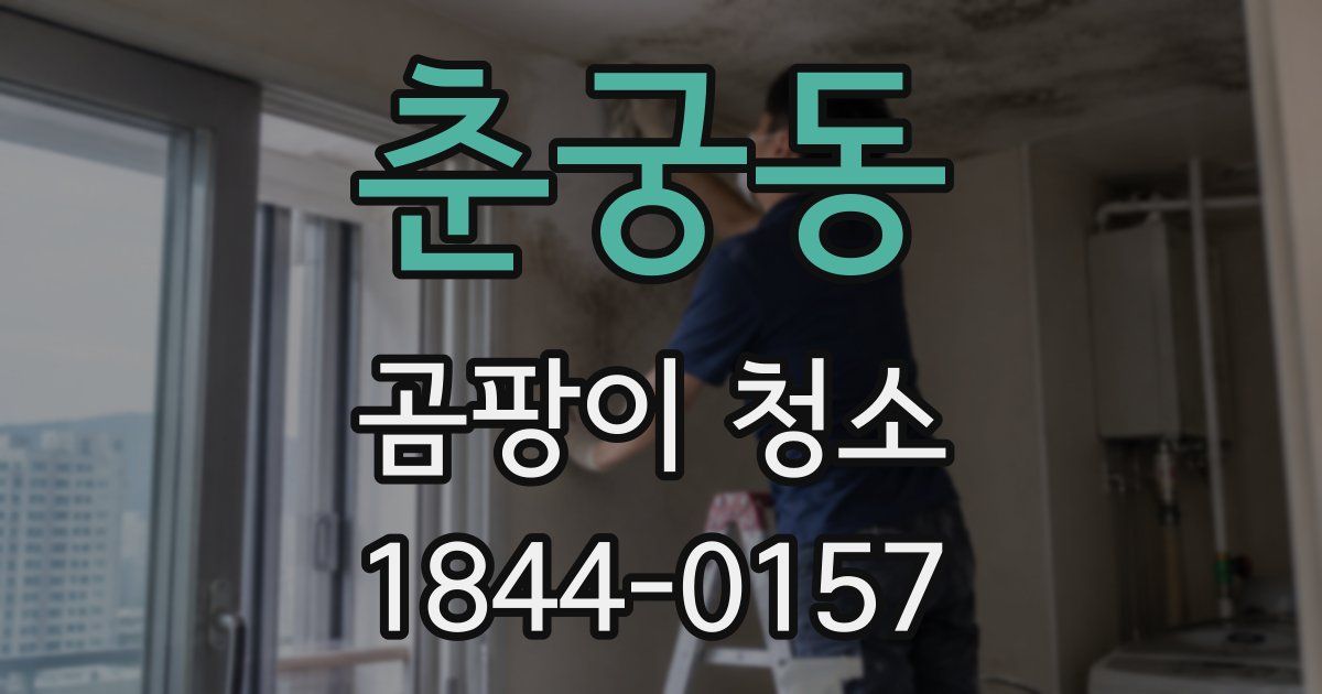춘궁동 곰팡이 청소